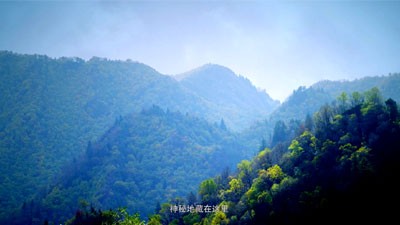 作品展示|BJL平台
